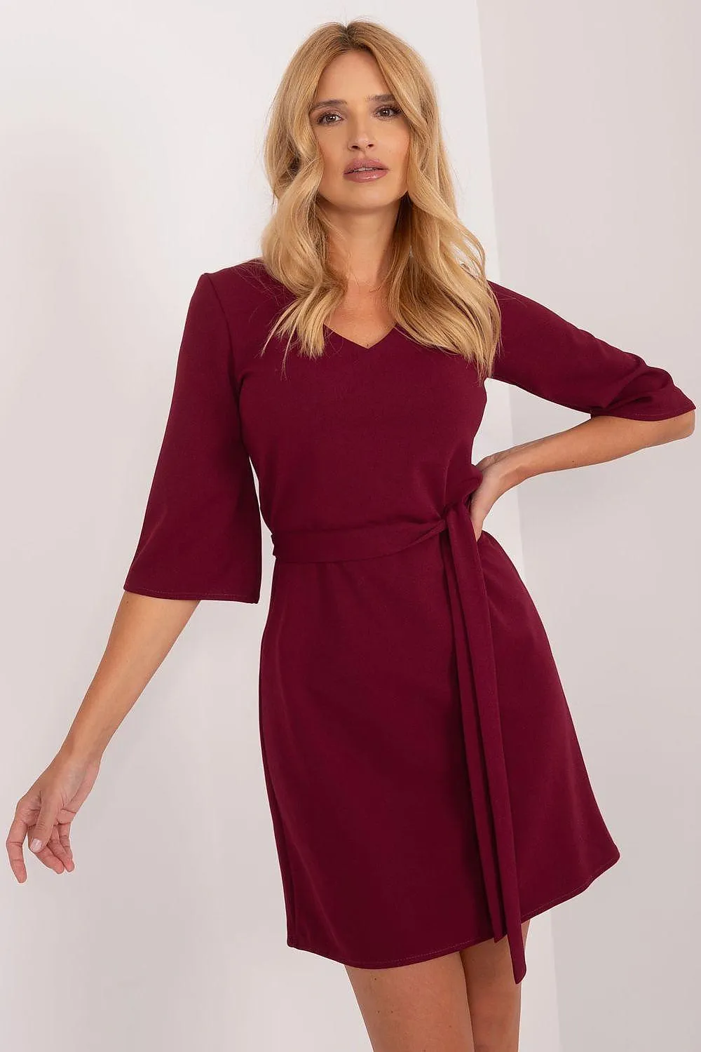 Chic Versatile Daytime Dress