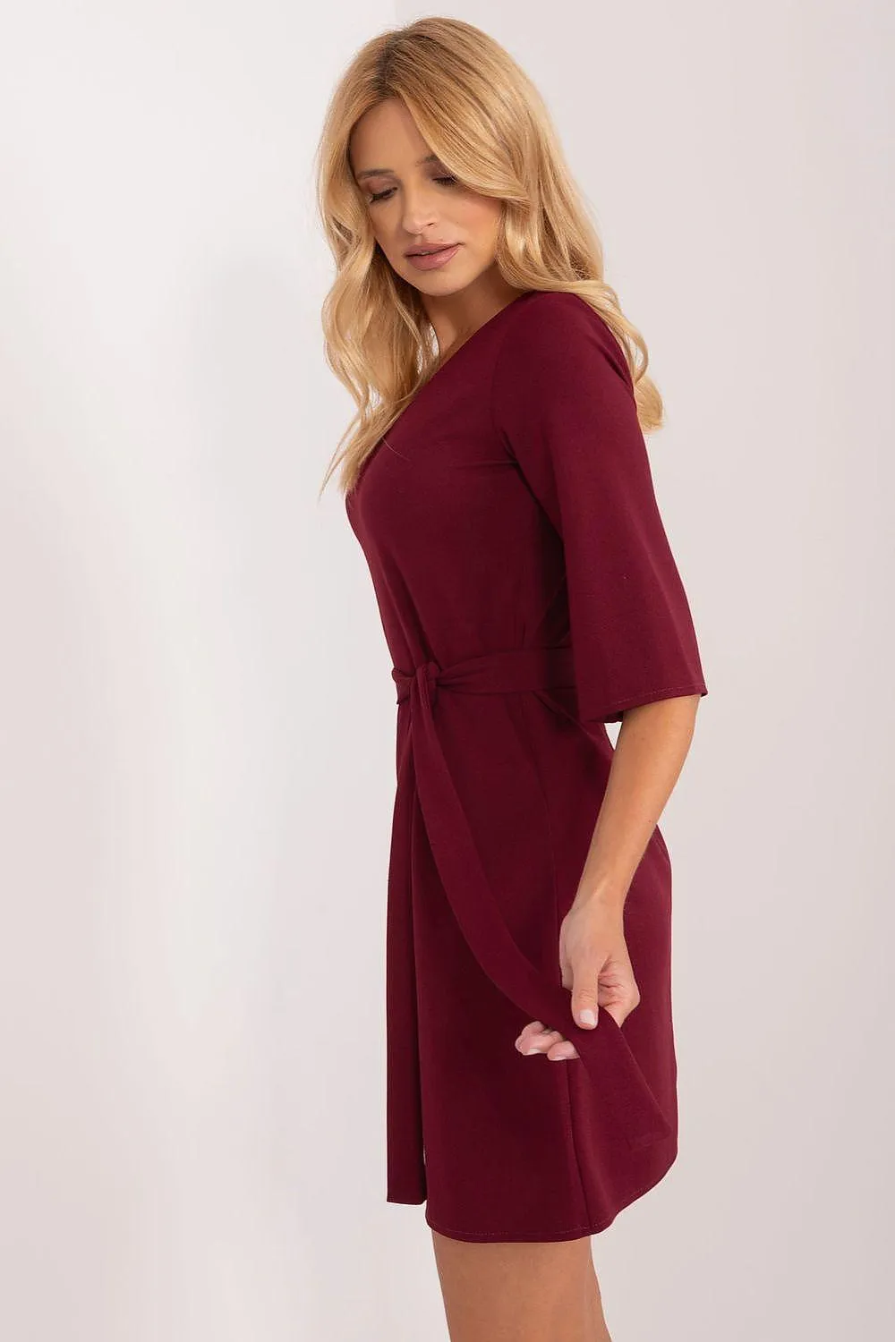 Chic Versatile Daytime Dress