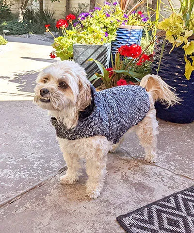 Dog Coat, Reversible - Cozy Cable in Ash Faux Fur with Cuddly Fur in Black