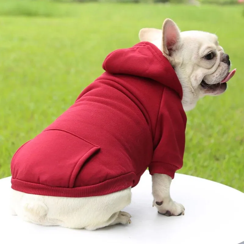 SnugTail French Bulldog Sweater Sports Style Pet Clothes